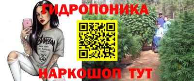 ECSTASY Абинск