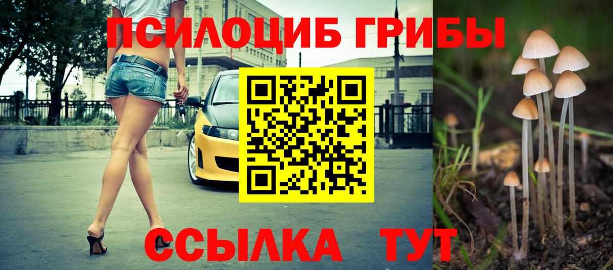 Алексин  Галлюциногенные грибы GOLDEN TEACHER  магазин    Вход с VPN 